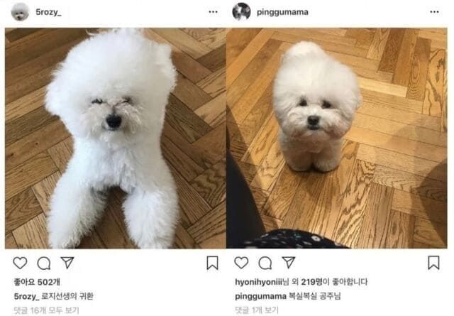 온라인 커뮤니티