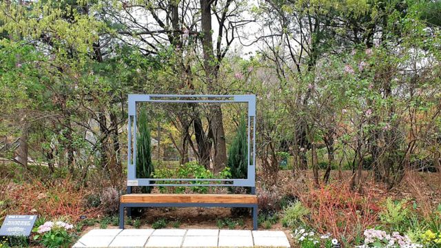 온라인 커뮤니티