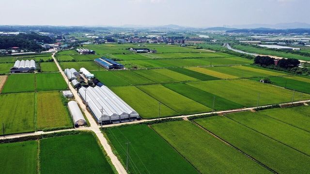 온라인 커뮤니티