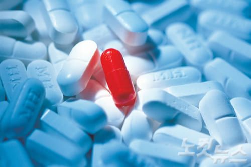 온라인 커뮤니티