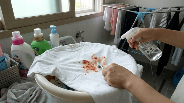 김치 국물 얼룩 / 기사 이해를 돕기 위한 AI 이미지