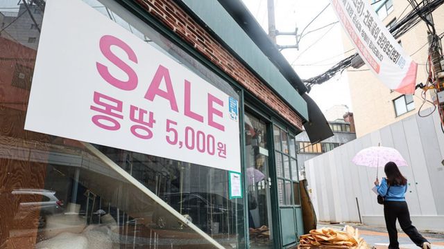이해를 돕기 위한 이미지 / 사진=SBS
