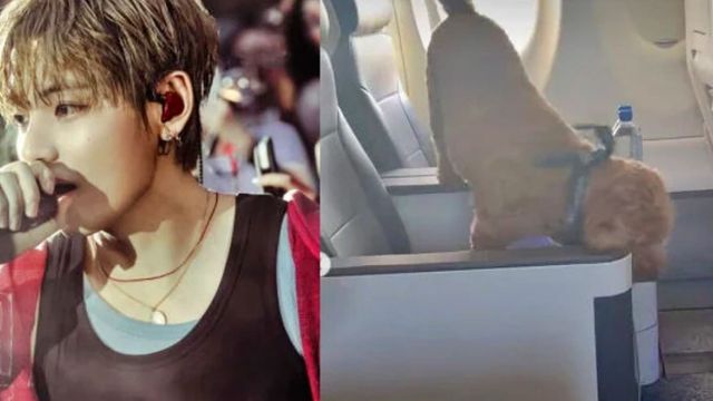 BTS 뷔 / 사진=MBC