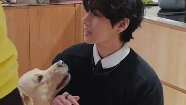 BTS 뷔 / 사진=MBC