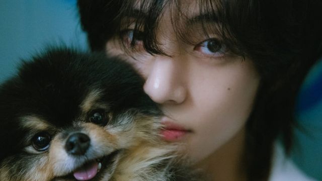 BTS 뷔 / 사진=MBC