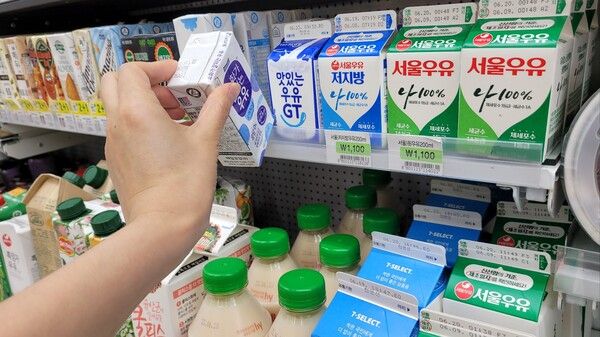 서울 시내 한 편의점에서 소비자가 우유를 고르고 있다. /사진=황재희 기자