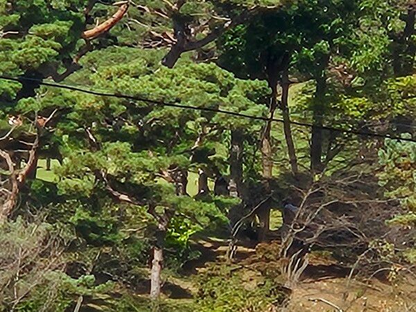 삼성 사장단들이 25일 오전 이건희 회장 4주기 추도식 참석을 위해 수원 선영을 찾았다. / 사진=황재희 기자