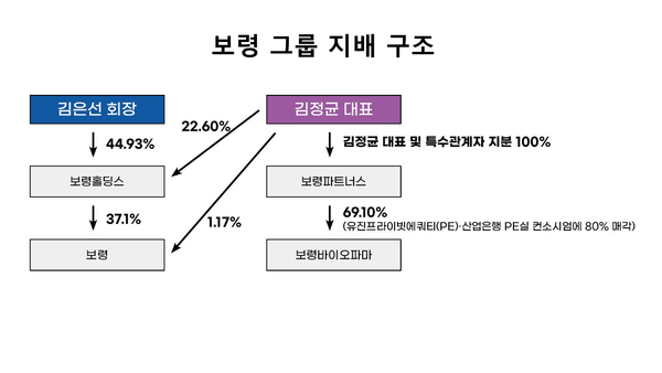 보령 그룹 지배구조(2023년 12월 사업보고서 기준) / 그래픽 = 김민영 기자