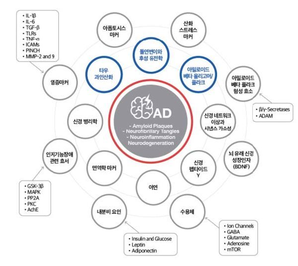 알츠하이머 발병 원인. / 사진=정문필 기자.