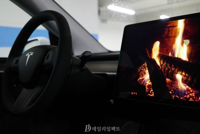 '모델 Y' 롱 레인지 듀얼 모터 모델 토이박스 기능 중 '로맨스 모드' 기능을 작동한 모습. 타닥타닥 나무 타는 소리와 함께 모닥불 영상이 지속된다. /사진=김현일 기자