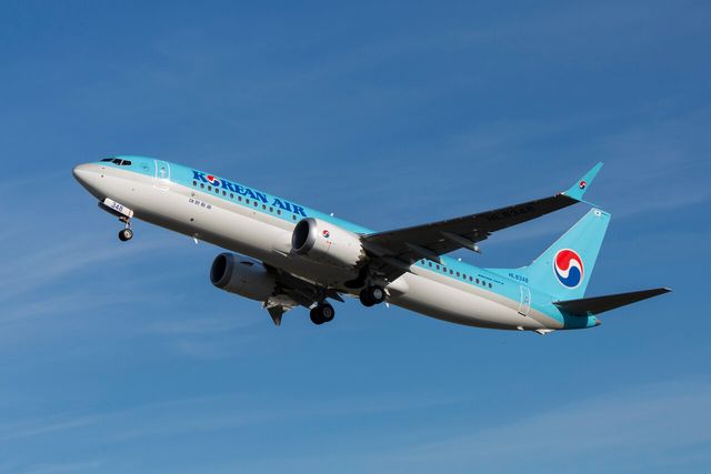 대한항공 보잉 737-8 항공기. /사진=대한항공