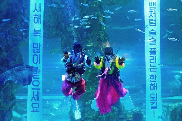 /사진=롯데월드