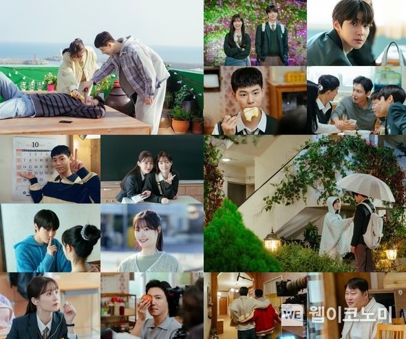 사진 제공: 하이지음스튜디오, 베이스스토리, SLL