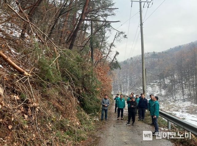 경기 양평 폭설피해지 현장점검