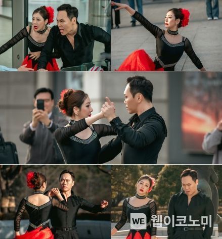 사진 제공 : 스튜디오 플럼