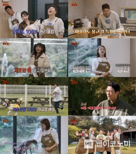 (사진 제공 = JTBC ‘집 나가면 개호강’)