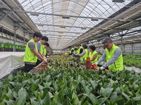 NH농협은행 투자상품‧자산관리부문 김용욱 부행장(오른쪽 맨 앞 첫 번째) 및 WM사업부서 직원들이 일손돕기를 실시하고 있다. /사진=NH농협은행
