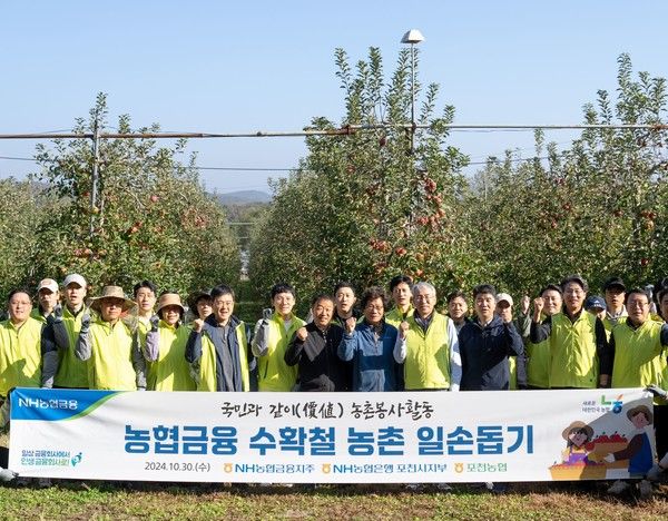 NH농협금융은 30일 경기도 포천시 신북면 사과농가에서 수확철 농촌&nbsp;일손돕기를 실시했다. 이석준 NH농협금융지주회장(앞줄 오른쪽에서 네 번째),&nbsp;김광열 포천농협 조합장(앞줄 오른쪽에서 여섯 번째), 이덕주 NH농협은행 포천시지부장(앞줄 오른쪽에서 세 번째)과 임직원들이 기념촬영을 하고 있다. /사진=NH농협금융