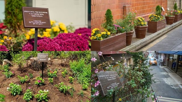 BAT로스만스가 골목길 환경 개선을 목표로 진행 중인 '꽃BAT(꽃밭) 캠페인'을 통해 서울 전역에 총 40개의 화단을 조성했다. / 사진=BAT로스만스