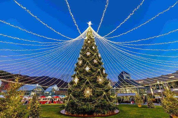 사진=롯데아울렛