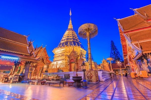 사진=인터파크트리플