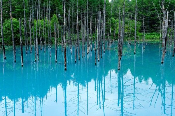 북해도 아오이케 / 사진=롯데관광개발
