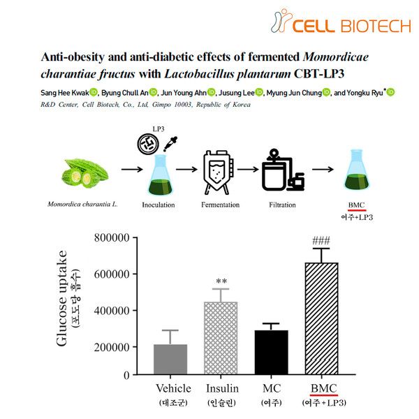 지방세포를 이용한 포도당 흡수 효능 평가 /사진=셀바이오텍&nbsp;