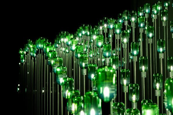 박근호(참새) 작가의 미디어 아트 작품 'Luminous Green' /사진=아모레퍼시픽재단