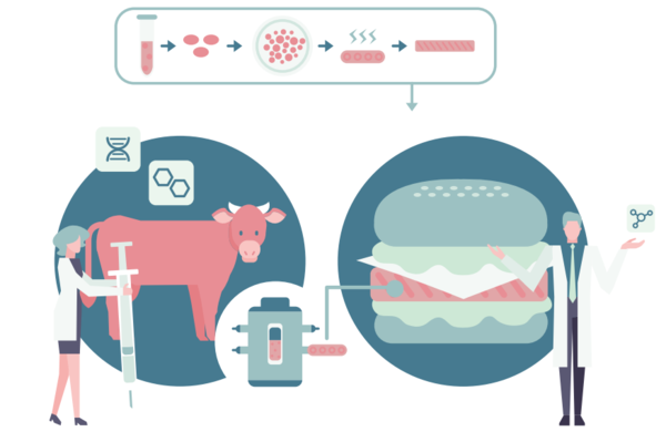 사진=농림식품기술기획평가원