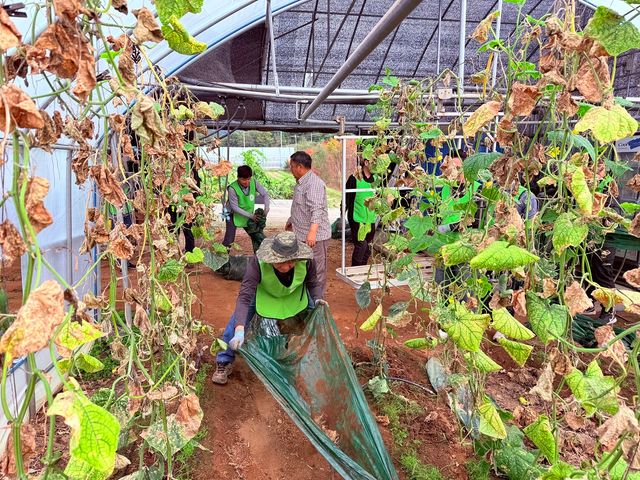 사진=NH농협은행