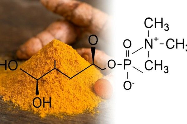 사진=알피바이오