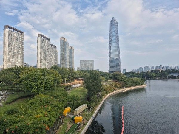 인천 송도 센트럴파크 /사진=산림청