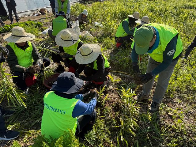 사진=NH농협은행