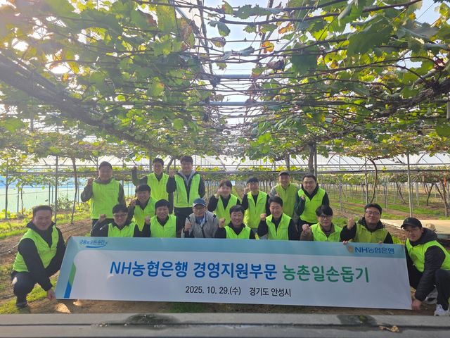 29일 NH농협은행 경영지원부문 황준구 부행장과 직원들이 경기도 안성시 공도읍 마정리 마을을 찾아 수확기 농촌 일손 돕기를 실시했다. / 사진=NH농협은행