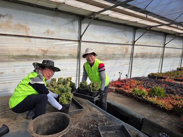 NH농협금융은&nbsp;11일,&nbsp;경기도 고양시 원당동에 위치한 다육식물&nbsp;재배농가를 방문해 수해 피해 복구지원을 위한 농촌 일손돕기를 실시했다.&nbsp;조정래 부사장(오른쪽)과 박종국&nbsp;ESG전략부 부장(왼쪽)이 재배시설을 정비하고 있다. / 사진=NH농협금융지주