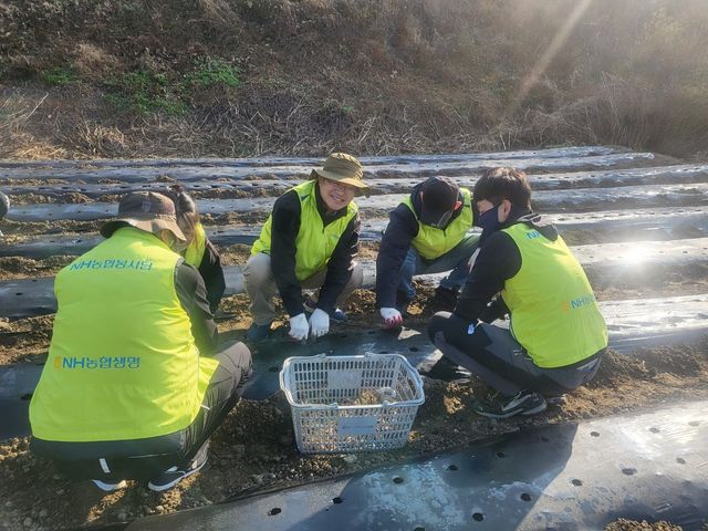 사진=NH농협생명