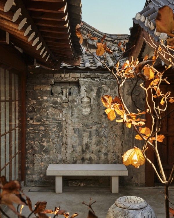 블루보틀 삼청 한옥 /사진=블루보틀 코리아