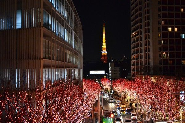 일본 프리미엄 패키지 도쿄 / 사진=교원투어