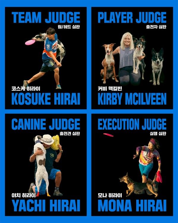 제5회 'KDDN'(KOREA DISC DOG NATIONALS) 챔피언십 포스터. /사진=더존ICT