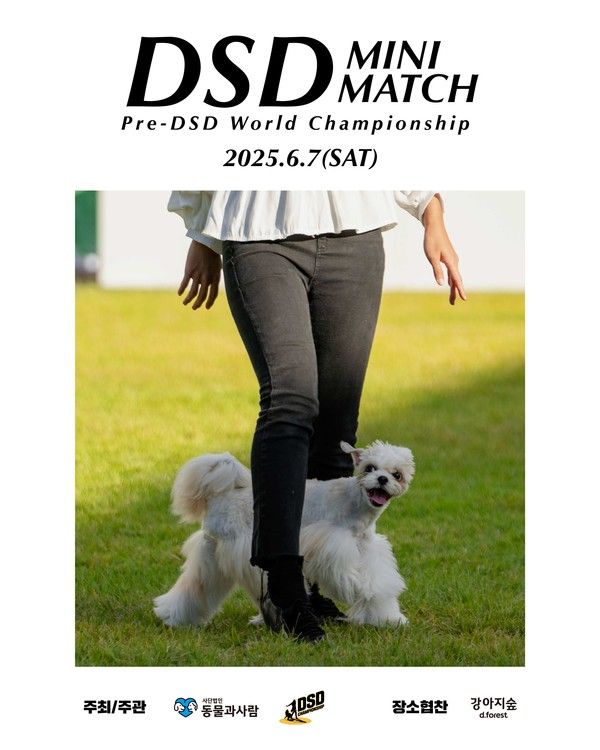 DSD 미니 매치 포스터. /사진=더존비앤씨티