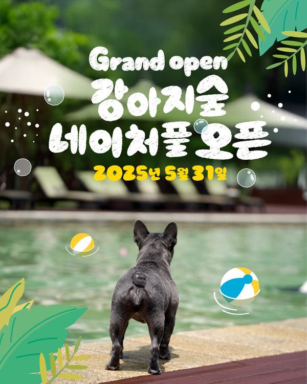 강아지숲 네이처풀 오픈 포스터. /사진=더존비앤씨티