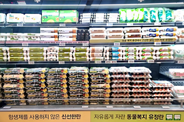 사진=이랜드킴스