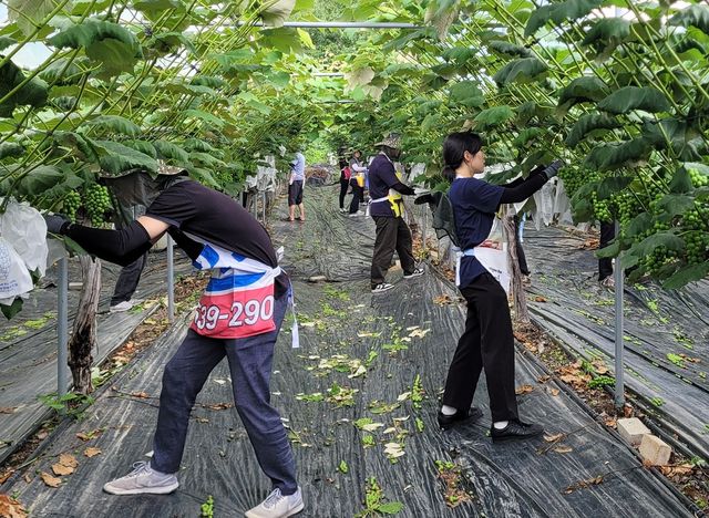 사진=농협경제지주