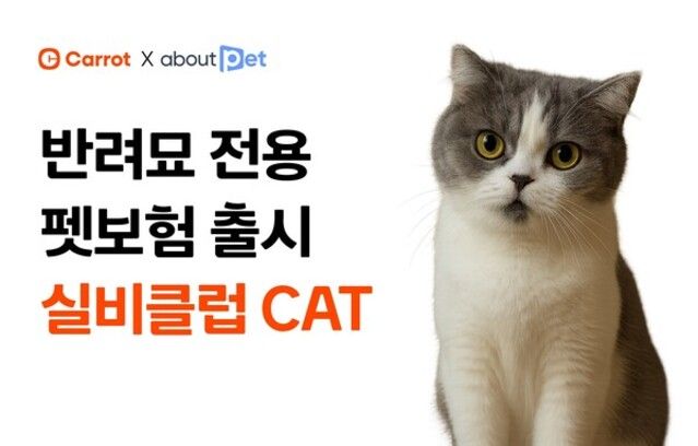 사진=캐롯손해보험