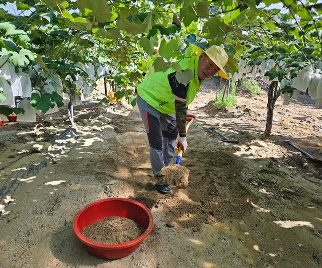 NH저축은행은&nbsp;28일,&nbsp;경기 가평군 조종면에서 집중호우 피해농가 일손 돕기를 실시했다.&nbsp;김장섭 대표이사가 토사물을 제거하고 주변 환경을 정비하고 있다. / 사진=NH저축은행