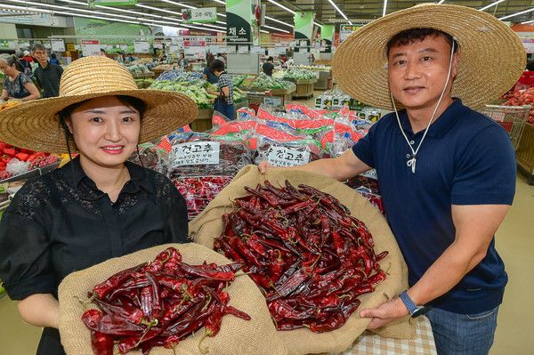 11일 서울 서초구 농협유통 하나로마트 양재점에서 관계자들이 올해 처음 수확한 '태양초 햇 건고추'를 선보이고 있다. / 사진=농협유통
