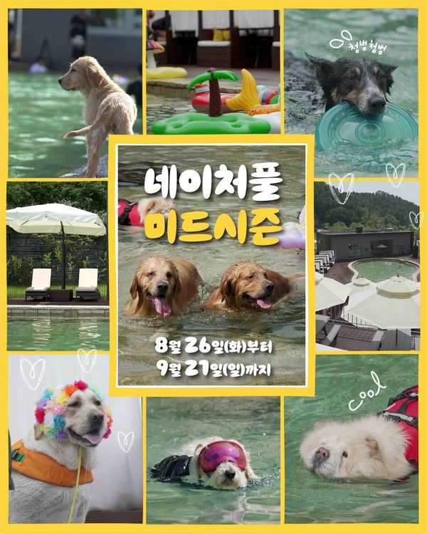 강아지숲 네이처풀 미드시즌 포스터