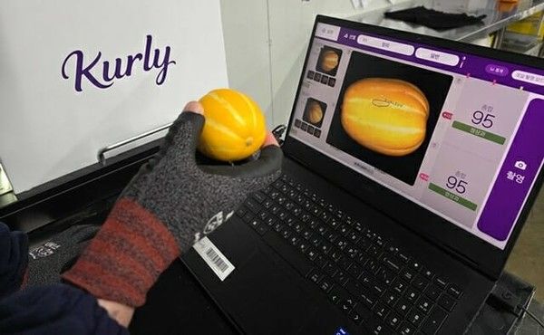 컬리의 AI 선별기가 참외를 판별하고 있다. /사진=컬리