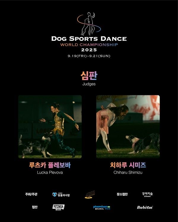 'DSD 월드 챔피언십' 포스터./사진=더존ICT그룹