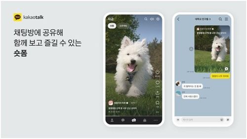 지금탭 /사진=카카오